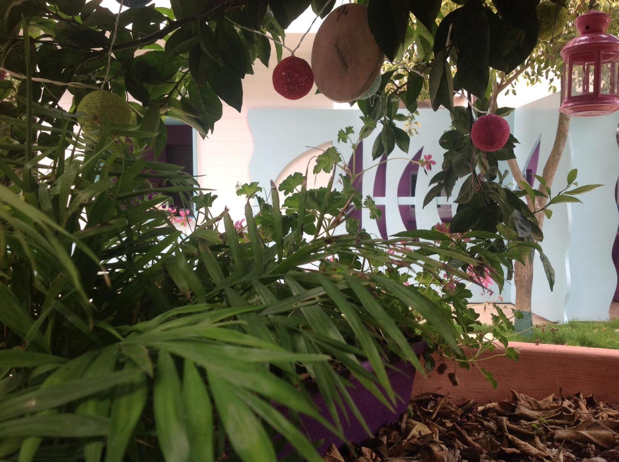 A Casa Di Lolu Bed & Breakfast Grottammare Exterior foto