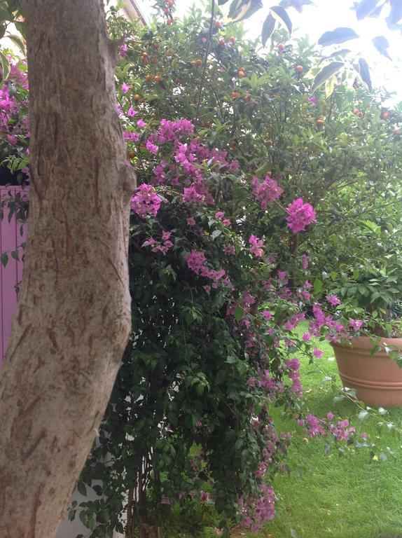 A Casa Di Lolu Bed & Breakfast Grottammare Exterior foto