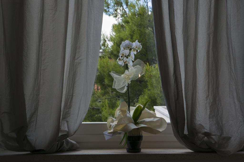 A Casa Di Lolu Bed & Breakfast Grottammare Exterior foto